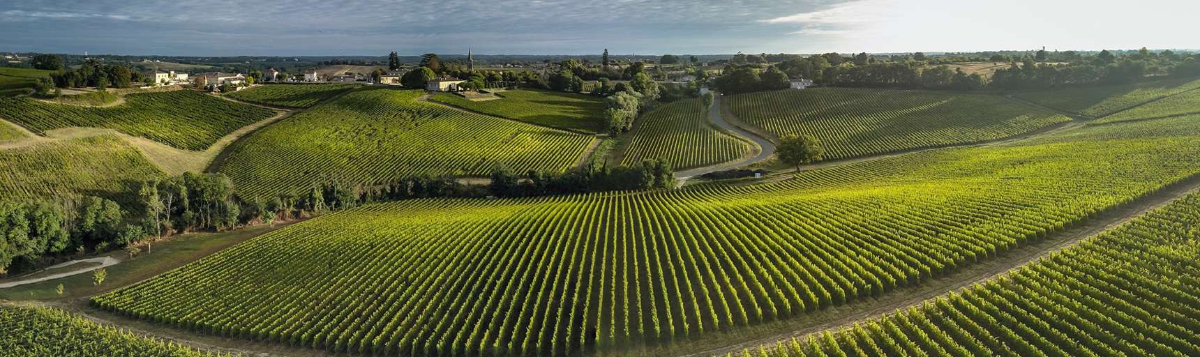 Langoiran / PREMIÈRES CÔTES DE BORDEAUX