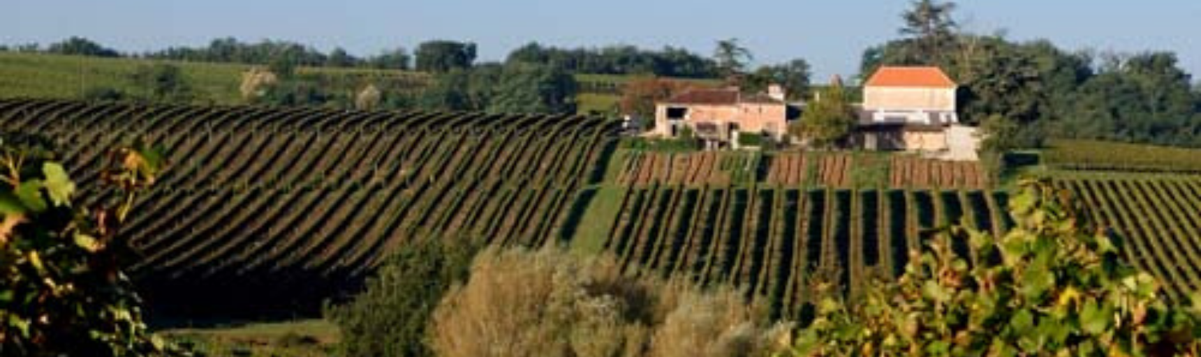 domaine