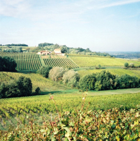 Peybrun