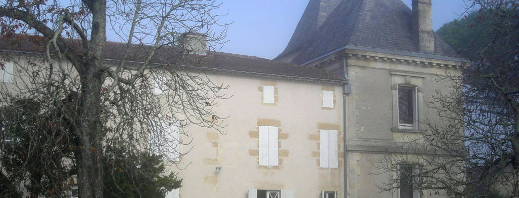 Genisson