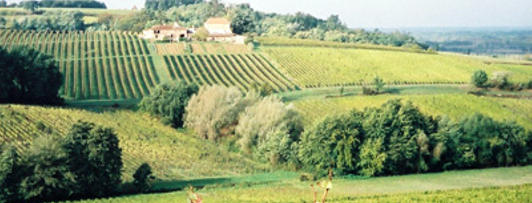 Peybrun