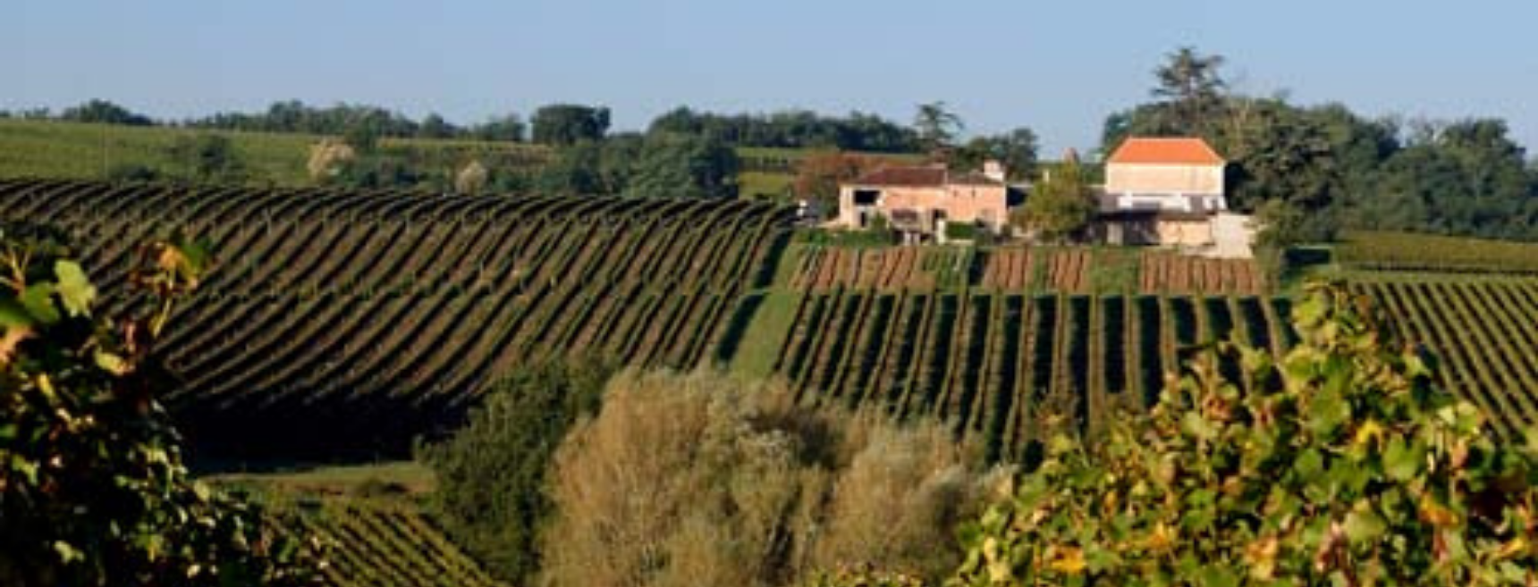 domaine