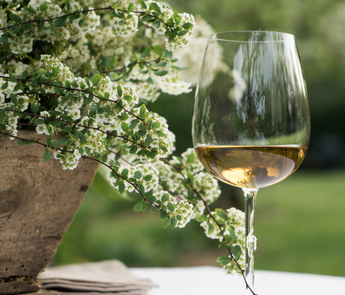 Printemps Première côte de Bordeaux