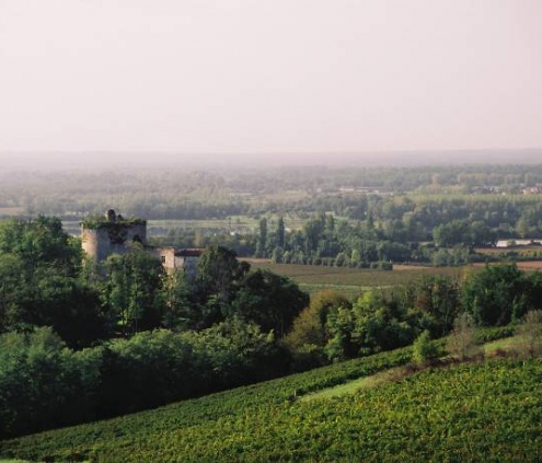 Loupiac