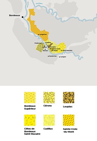 Carte-mobile