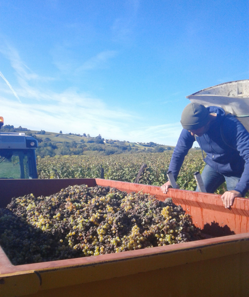 Domaine de Grava Bordeaux Rouge (12 bouteilles) - Vignobles FONTEYREAUD